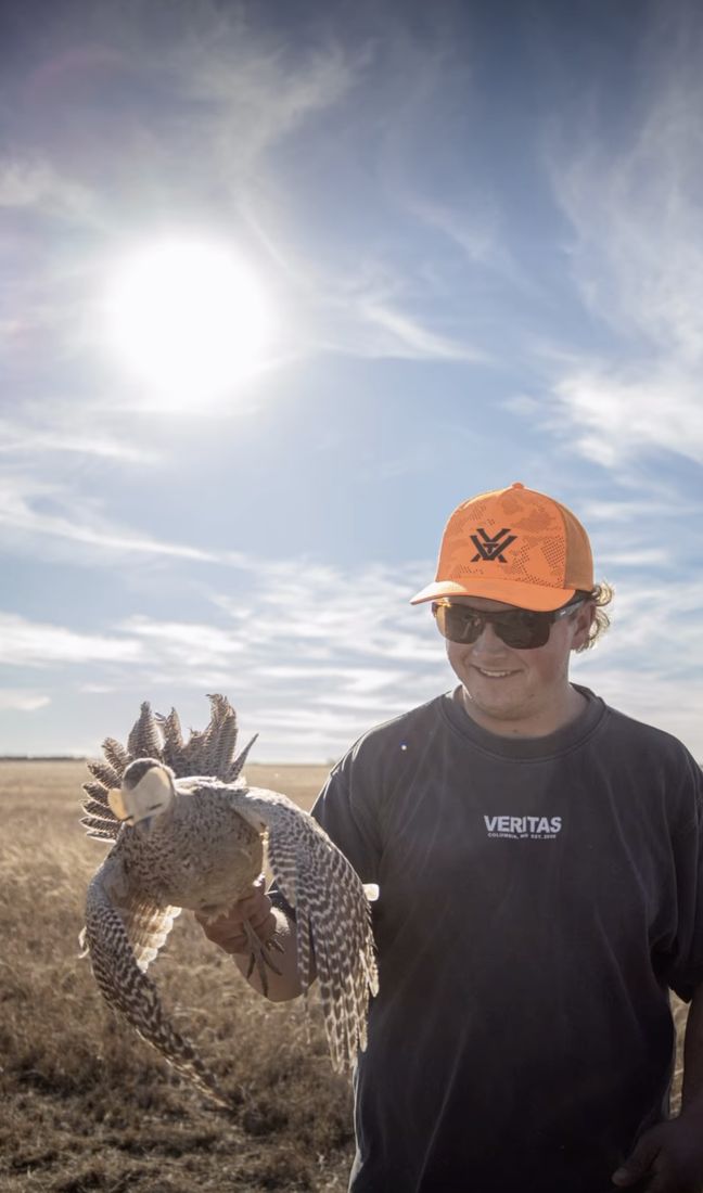Pheasant hunt in the field