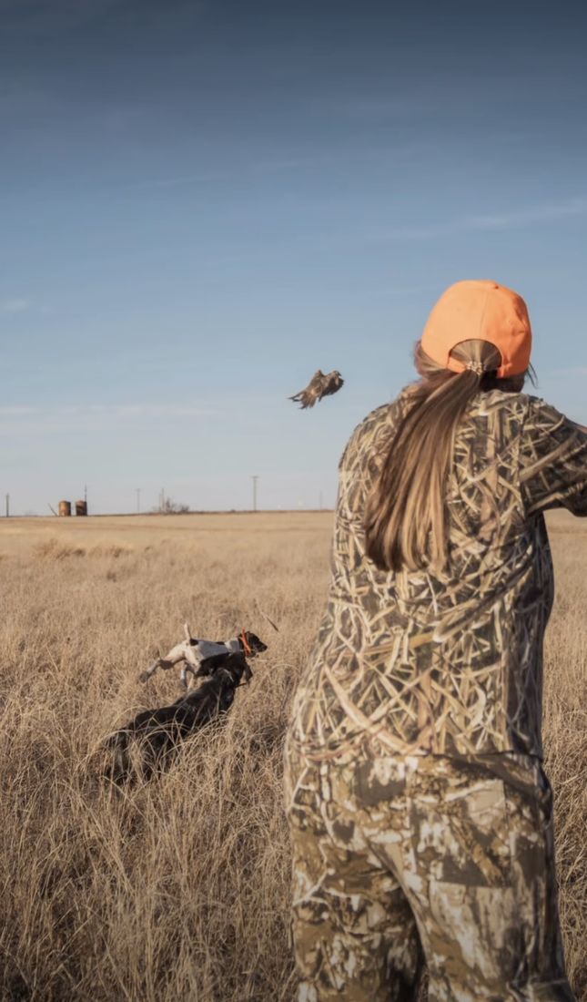 Hunter watching a pheasant flush