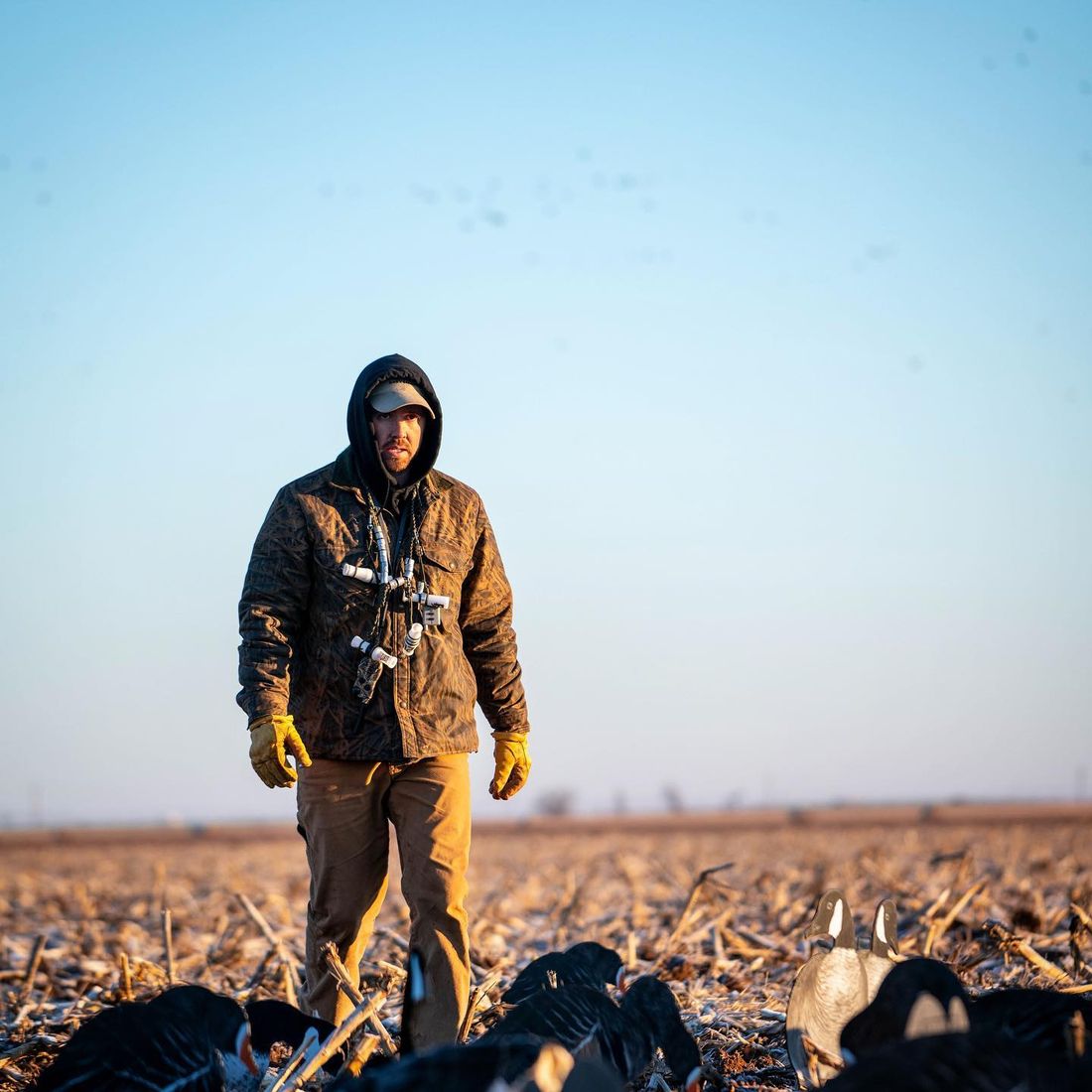 Hunters in a Texas field at sunset