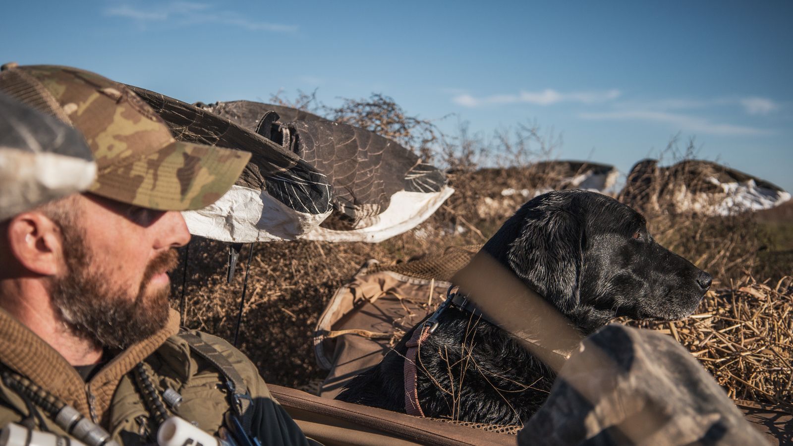 Hunter with a specklebelly goose at sunset