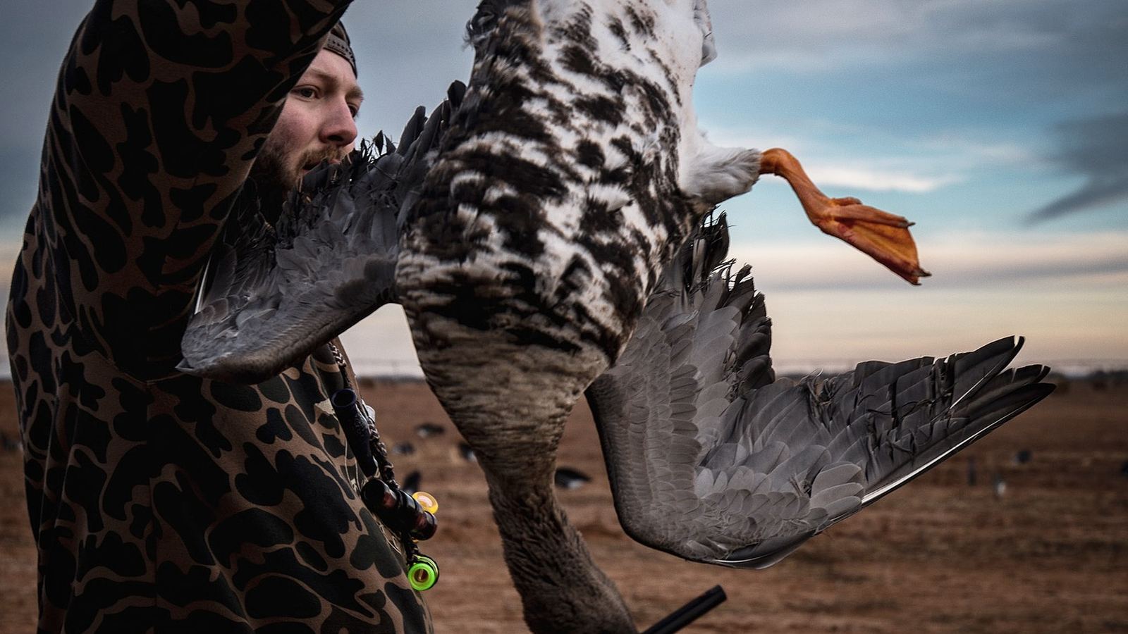 Waterfowl Hunts