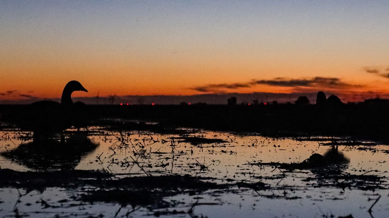 Sunset over a flooded marsh with goose decoys