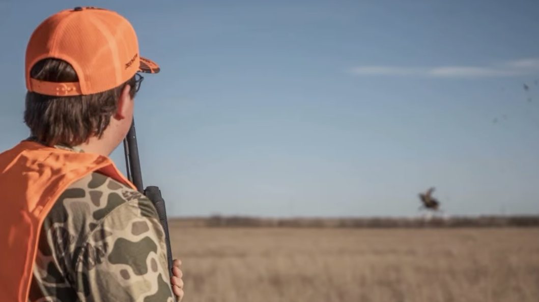 Upland Bird Hunts
