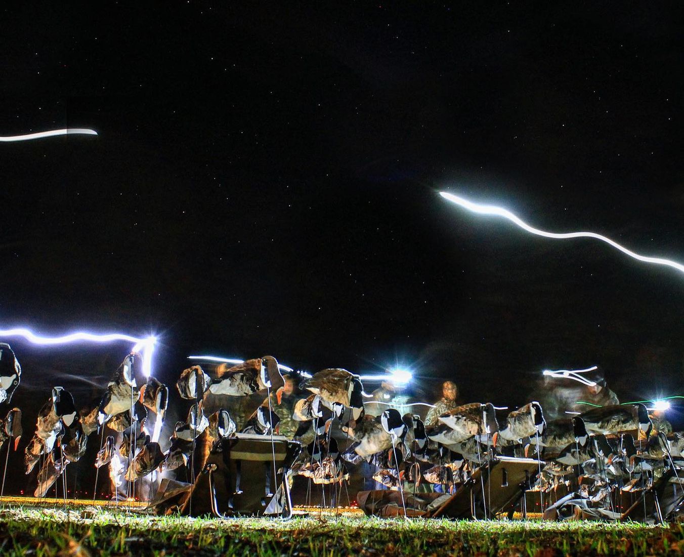 Pre-dawn goose decoy setup, lit by hunters' headlamps