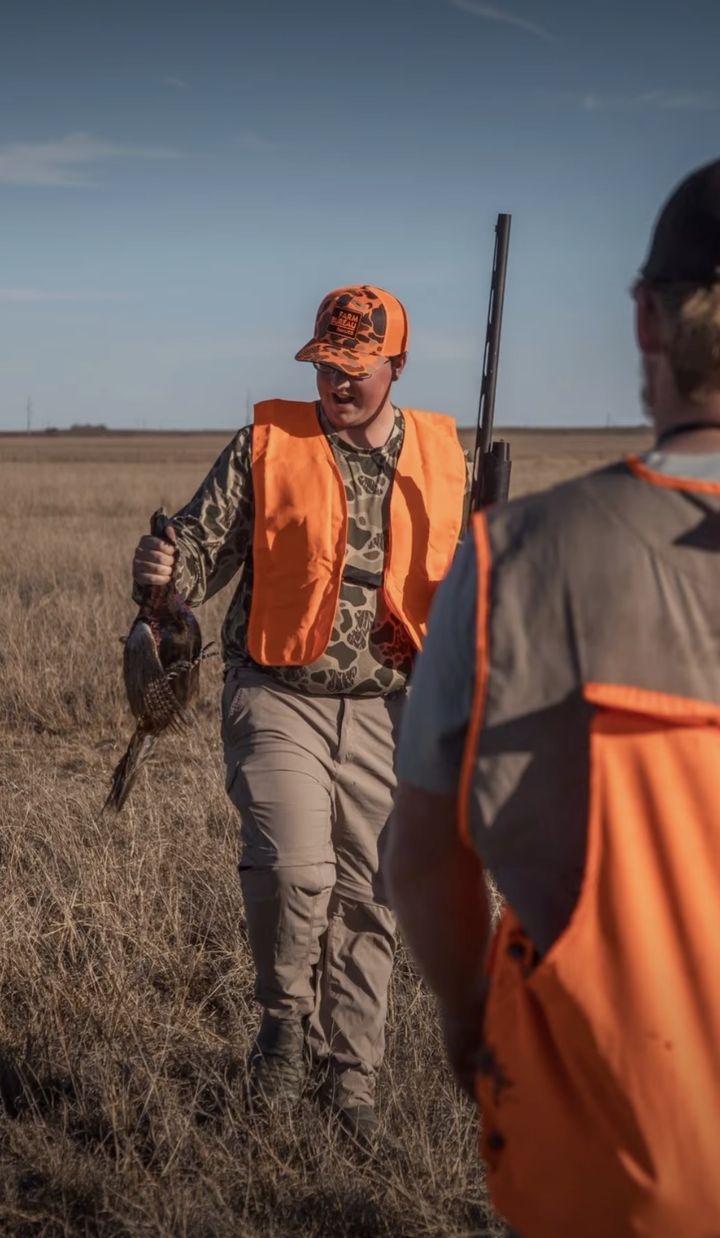 Pheasant hunt &mdash; bird in flight